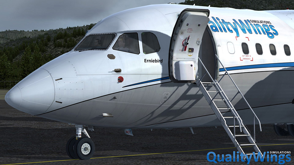 QualityWings - The Ultimate 146 Collection for P3D V4